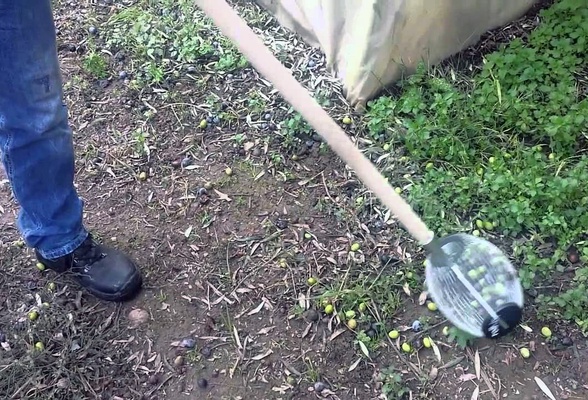 Roll-in Recoge Frutas Peque�o